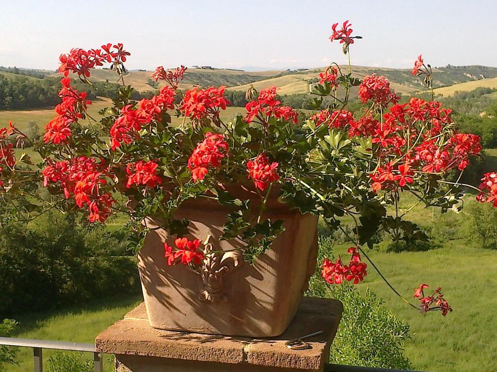 Agriturismo Il Paradiso Asciano Exterior photo